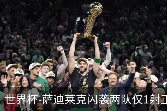 世界杯-萨迪莱克闪袭两队仅1射正 捷克半场暂1-0南非