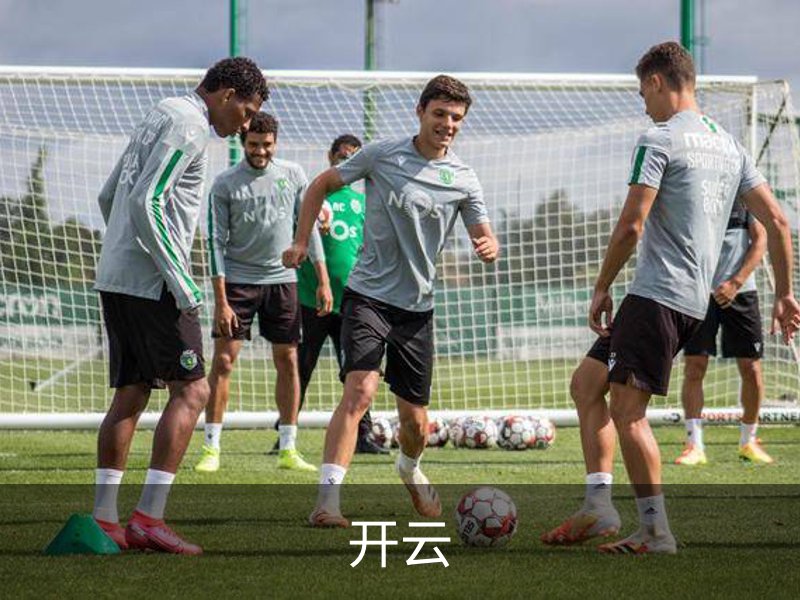 关于开云