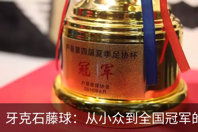 牙克石藤球：从小众到全国冠军的传奇之路